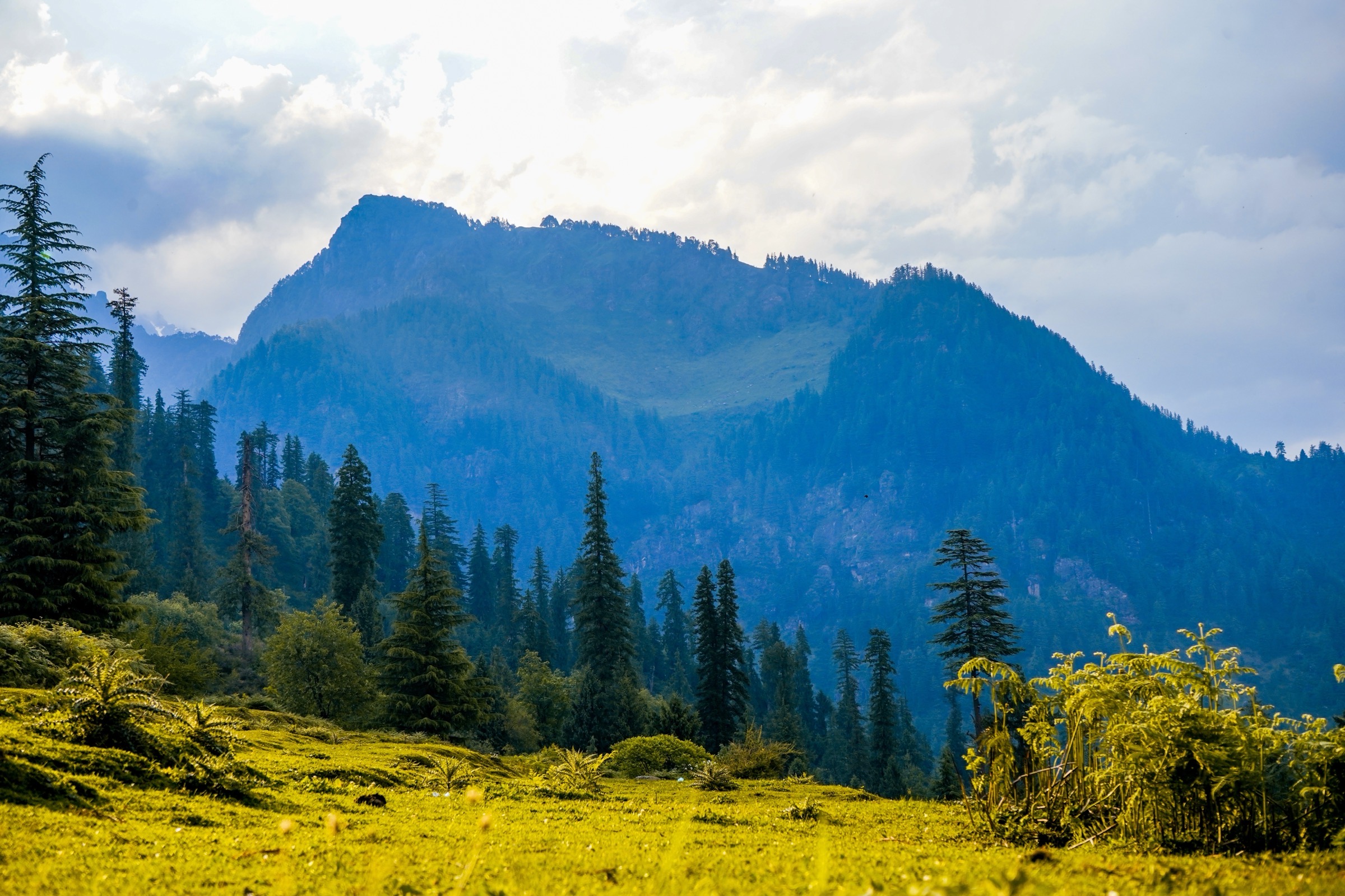 Fields and mountains in the Indian Himalaya near Manali