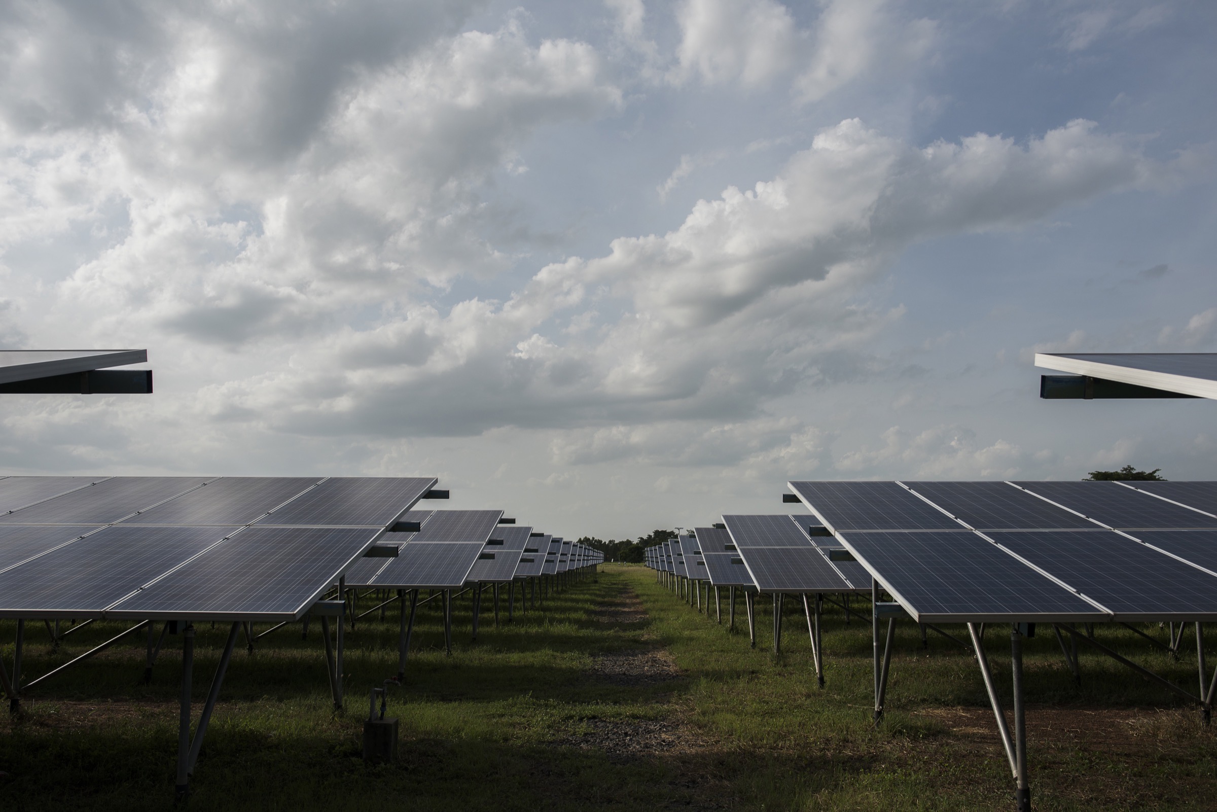 Solar panel farm generating clean energy from the sun